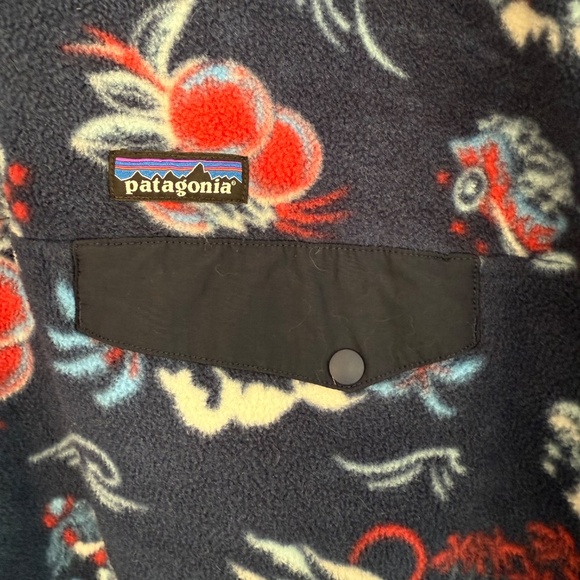 Patagonia Synchilla Snap-T Fleece Pullover Aloha Rickshaw Print‎ Size Large - Picture 4 of 7